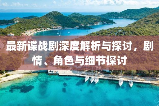 最新谍战剧深度解析与探讨，剧情、角色与细节探讨