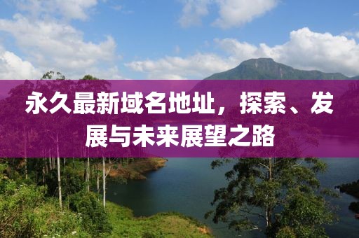 永久最新域名地址，探索、发展与未来展望之路