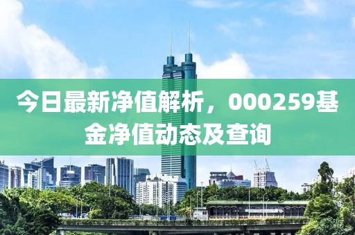 今日最新净值解析，000259基金净值动态及查询