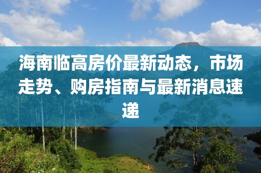 海南临高房价最新动态，市场走势、购房指南与最新消息速递