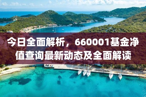 今日全面解析，660001基金净值查询最新动态及全面解读