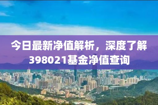 今日最新净值解析，深度了解398021基金净值查询