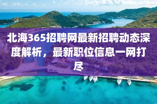 北海365招聘网最新招聘动态深度解析，最新职位信息一网打尽