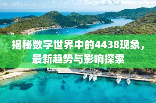 揭秘数字世界中的4438现象，最新趋势与影响探索