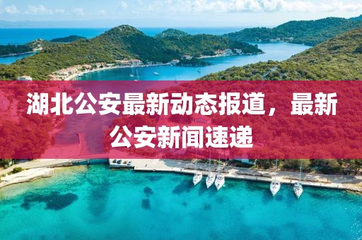 湖北公安最新动态报道，最新公安新闻速递