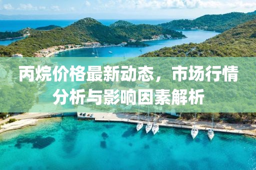 丙烷价格最新动态，市场行情分析与影响因素解析