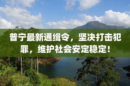 普宁最新通缉令，坚决打击犯罪，维护社会安定稳定！