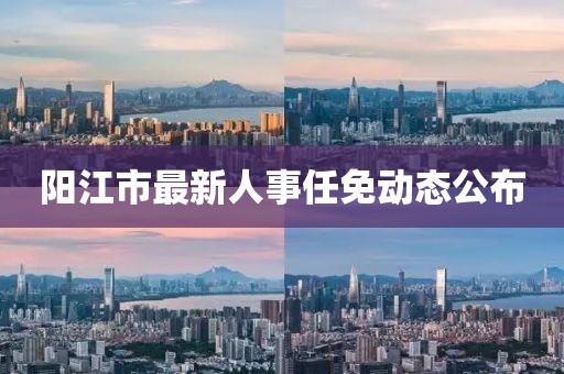 阳江市最新人事任免动态公布