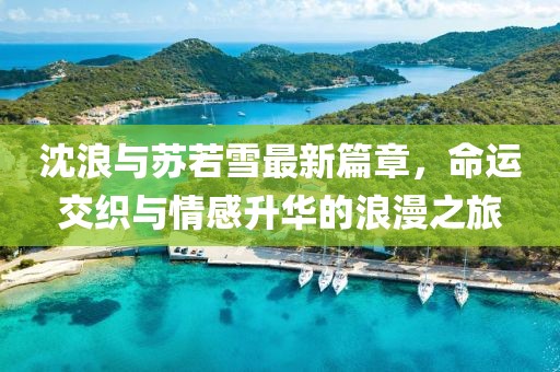 沈浪与苏若雪最新篇章，命运交织与情感升华的浪漫之旅