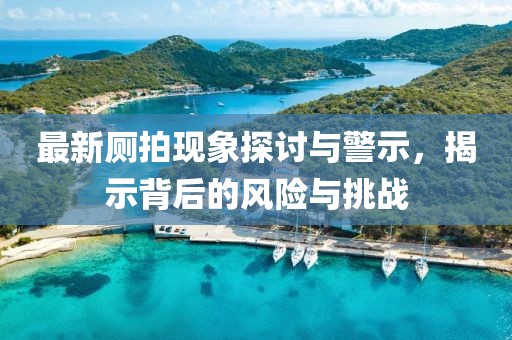 最新厕拍现象探讨与警示，揭示背后的风险与挑战