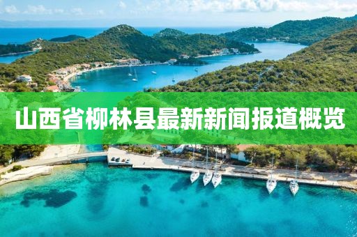 山西省柳林县最新新闻报道概览