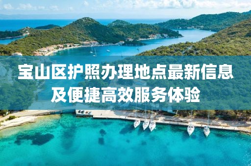 宝山区护照办理地点最新信息及便捷高效服务体验