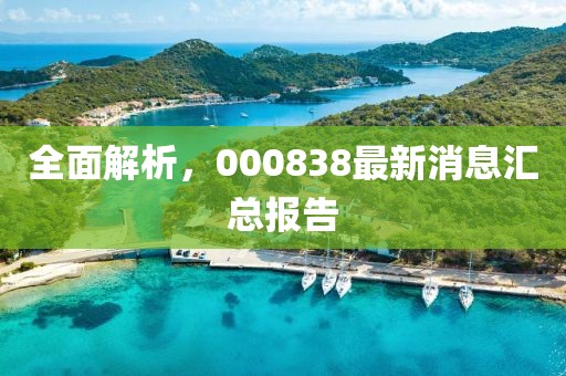 全面解析，000838最新消息汇总报告