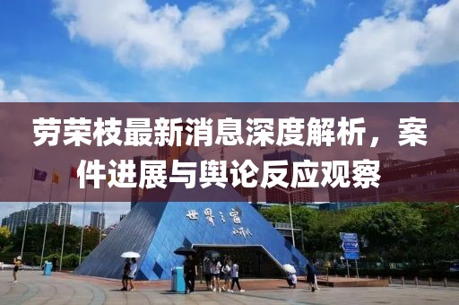 劳荣枝最新消息深度解析，案件进展与舆论反应观察