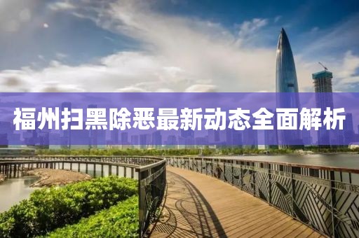 福州扫黑除恶最新动态全面解析