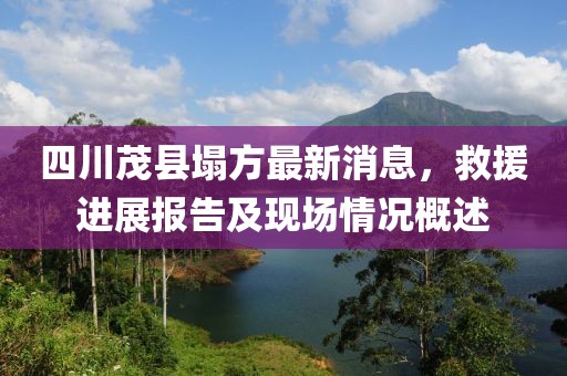 四川茂县塌方最新消息，救援进展报告及现场情况概述