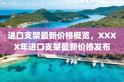 进口支架最新价格概览，XXXX年进口支架最新价格发布