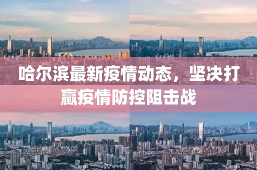 哈尔滨最新疫情动态，坚决打赢疫情防控阻击战