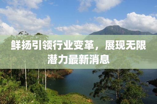 鲜扬引领行业变革，展现无限潜力最新消息