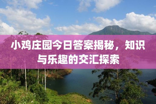 小鸡庄园今日答案揭秘，知识与乐趣的交汇探索