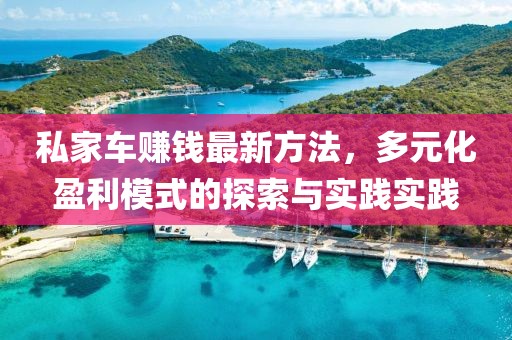 私家车赚钱最新方法，多元化盈利模式的探索与实践实践