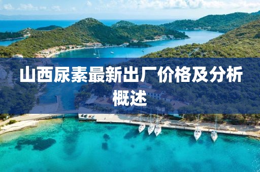 山西尿素最新出厂价格及分析概述