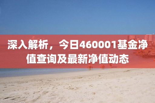 深入解析，今日460001基金净值查询及最新净值动态