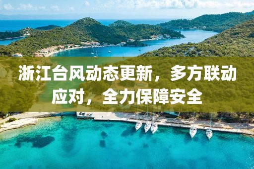 浙江台风动态更新，多方联动应对，全力保障安全