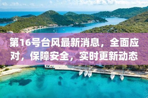 第16号台风最新消息，全面应对，保障安全，实时更新动态