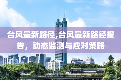 台风最新路径,台风最新路径报告，动态监测与应对策略