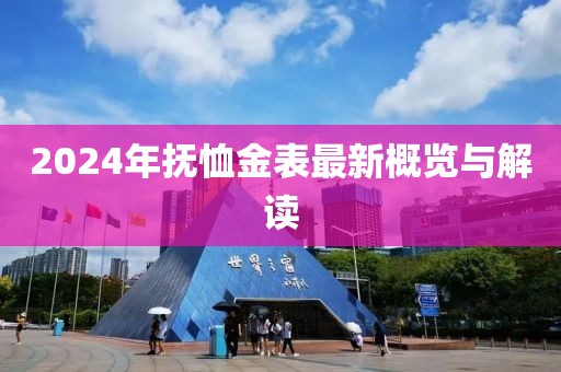 2024年抚恤金表最新概览与解读