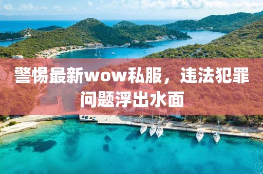 警惕最新wow私服，违法犯罪问题浮出水面