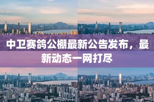 中卫赛鸽公棚最新公告发布，最新动态一网打尽