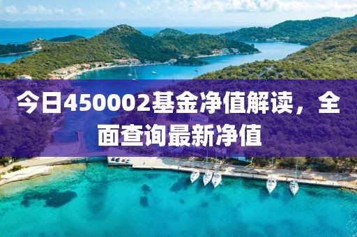 今日450002基金净值解读，全面查询最新净值