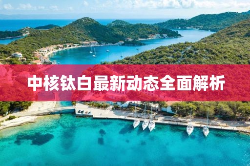 中核钛白最新动态全面解析