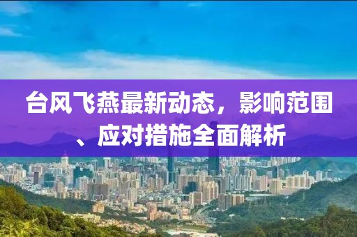 台风飞燕最新动态，影响范围、应对措施全面解析