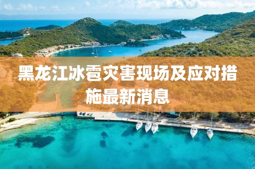 黑龙江冰雹灾害现场及应对措施最新消息