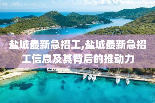 盐城最新急招工,盐城最新急招工信息及其背后的推动力