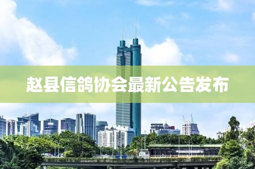 赵县信鸽协会最新公告发布