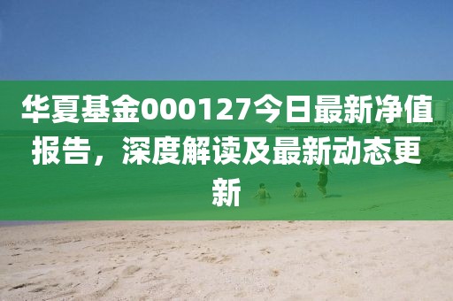 华夏基金000127今日最新净值报告，深度解读及最新动态更新