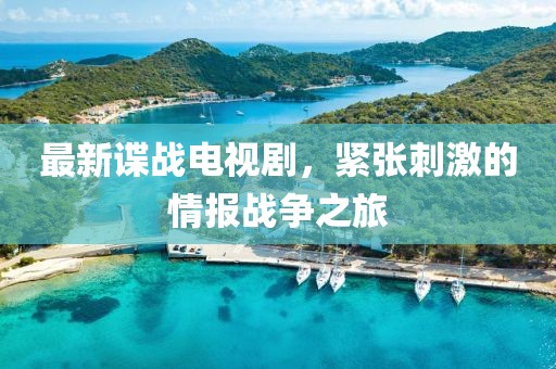 最新谍战电视剧，紧张刺激的情报战争之旅