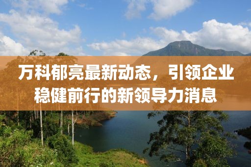 万科郁亮最新动态，引领企业稳健前行的新领导力消息