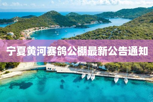 宁夏黄河赛鸽公棚最新公告通知