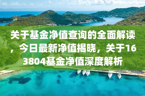 关于基金净值查询的全面解读，今日最新净值揭晓，关于163804基金净值深度解析