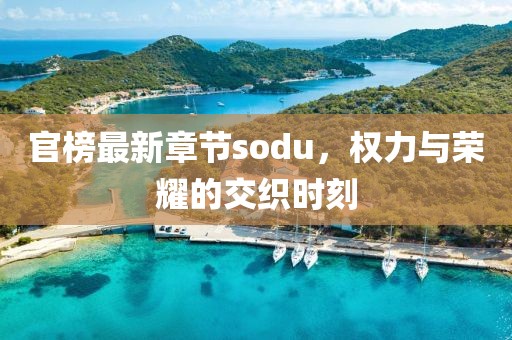 官榜最新章节sodu，权力与荣耀的交织时刻