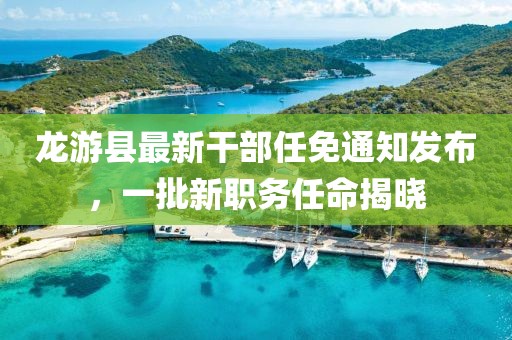 龙游县最新干部任免通知发布，一批新职务任命揭晓